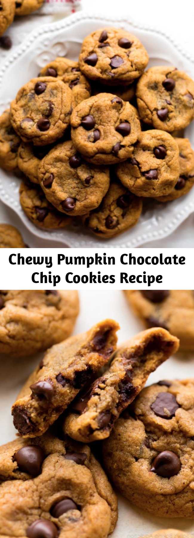 Chewy Pumpkin Chocolate Chip Cookies Recipe - I’m confident you’ll love these pumpkin chocolate chip cookies! Omitting the egg, using melted butter, and blotting the pumpkin guarantee a chewier texture.