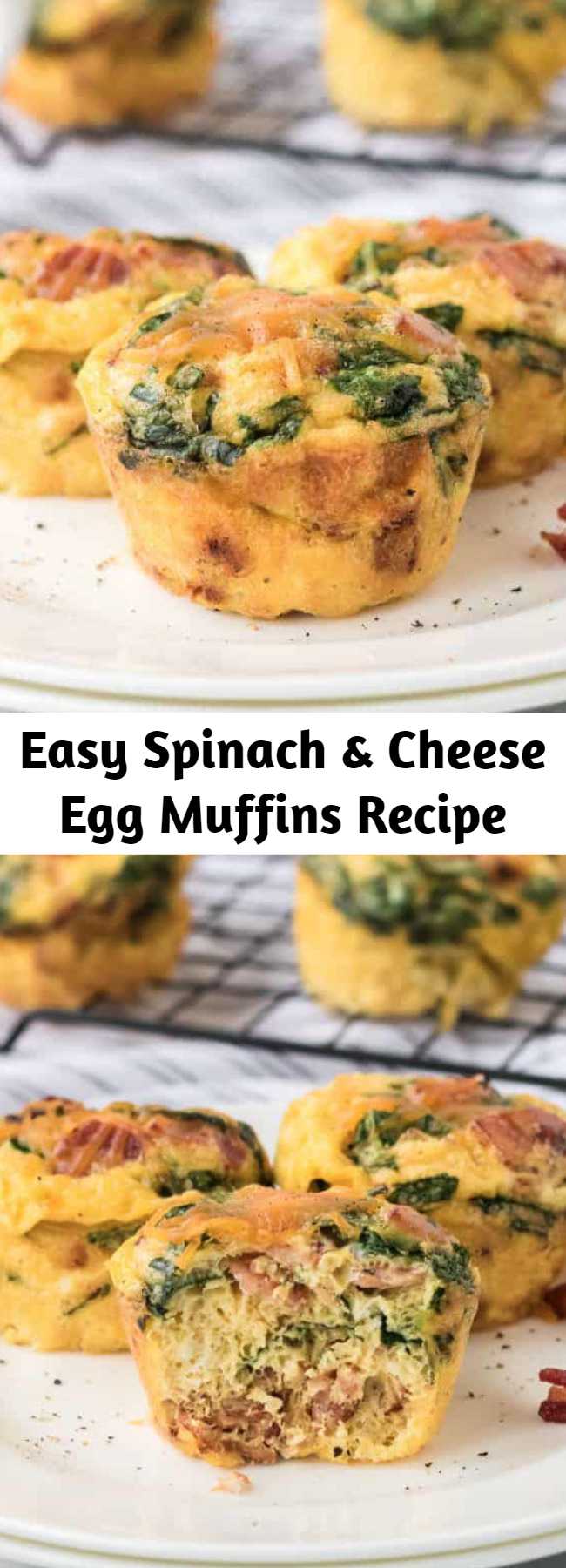 Easy Spinach & Cheese Egg Muffins Recipe - hese Spinach & Cheese Egg Muffins are a mini frittata made with bacon, onions, cheese and spinach. Always a breakfast fave! Not only was it easy to make, but it was filling and so good. I never felt like I was eating “diet food”. It almost feels too good to be true. Like how can I lose weight eating such yummy food? Yet, it happens! #eggmuffins #eggs #cheese #spinach