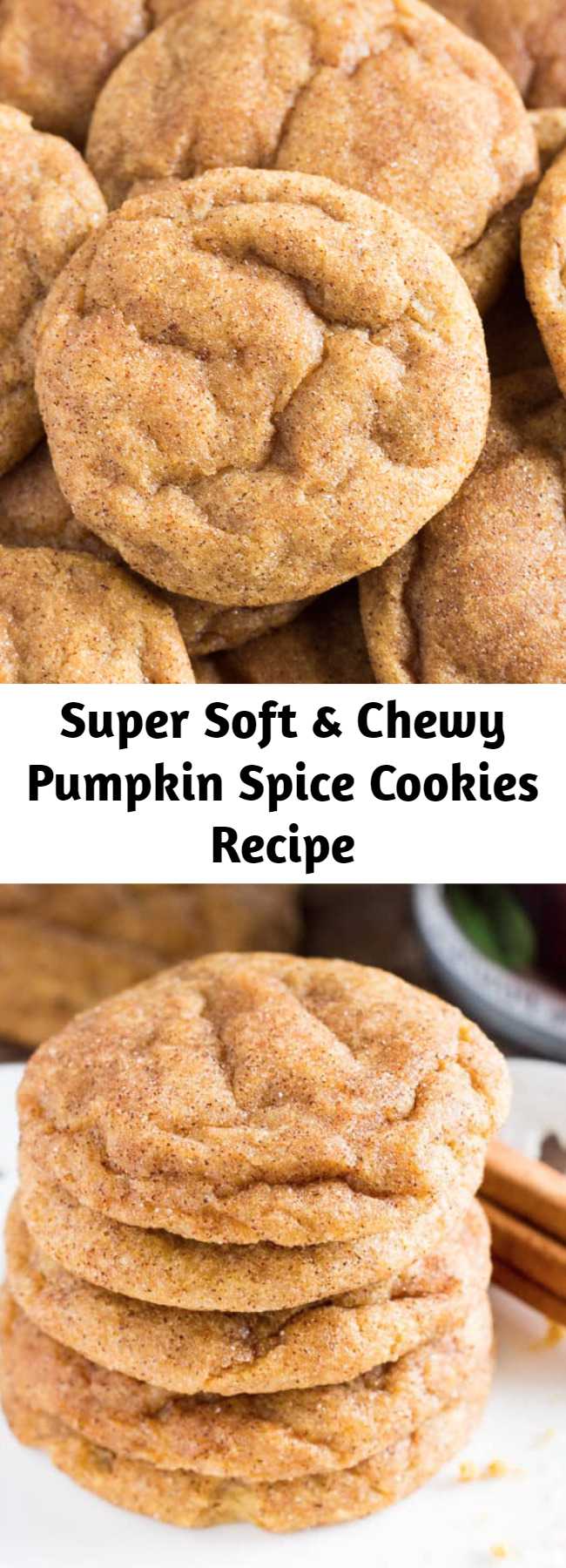 Super Soft & Chewy Pumpkin Spice Cookies Recipe - These pumpkin spice cookies are soft, chewy and perfect for fall. They’re filled with flavor thanks to the pumpkin, vanilla extract, & fall spices. Then they’re rolled in cinnamon sugar for a delicious coating that’ll remind you of snickerdoodles.