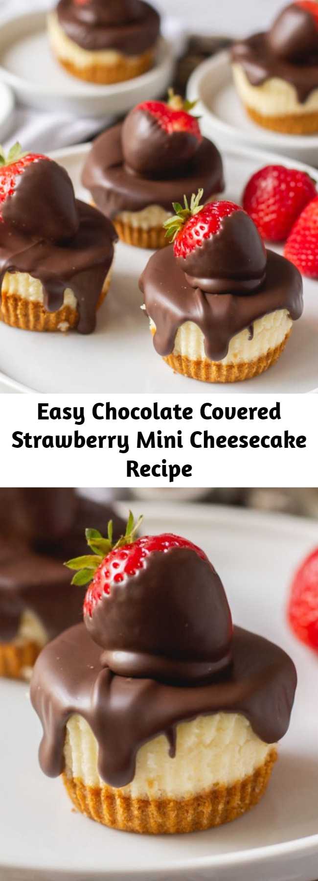 Easy Chocolate Covered Strawberry Mini Cheesecake Recipe - The best way to serve these classic mini cheesecakes is with chocolate covered strawberries on top! Check out this recipe for light and airy mini cheesecakes with a graham cracker crust – they’re a delightful twist on the typical dense and creamy cheesecake!