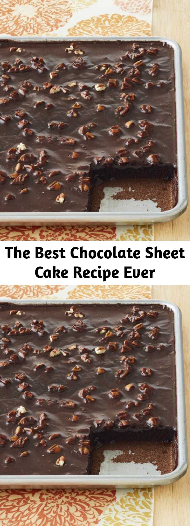 The Best Chocolate Sheet Cake Recipe Ever - It’s moist beyond imagination, chocolatey and rich like no tomorrow, and 100% of the time, causes moans and groans from anyone who takes a bite.