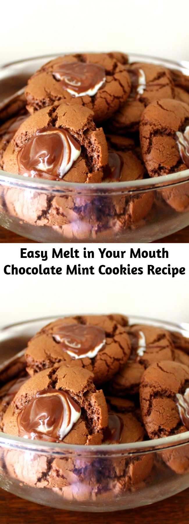 Easy Melt in Your Mouth Chocolate Mint Cookies Recipe - This is a melt in your mouth chocolate cookie that has a chocolate mint frosting. It's delicious and it's easy!