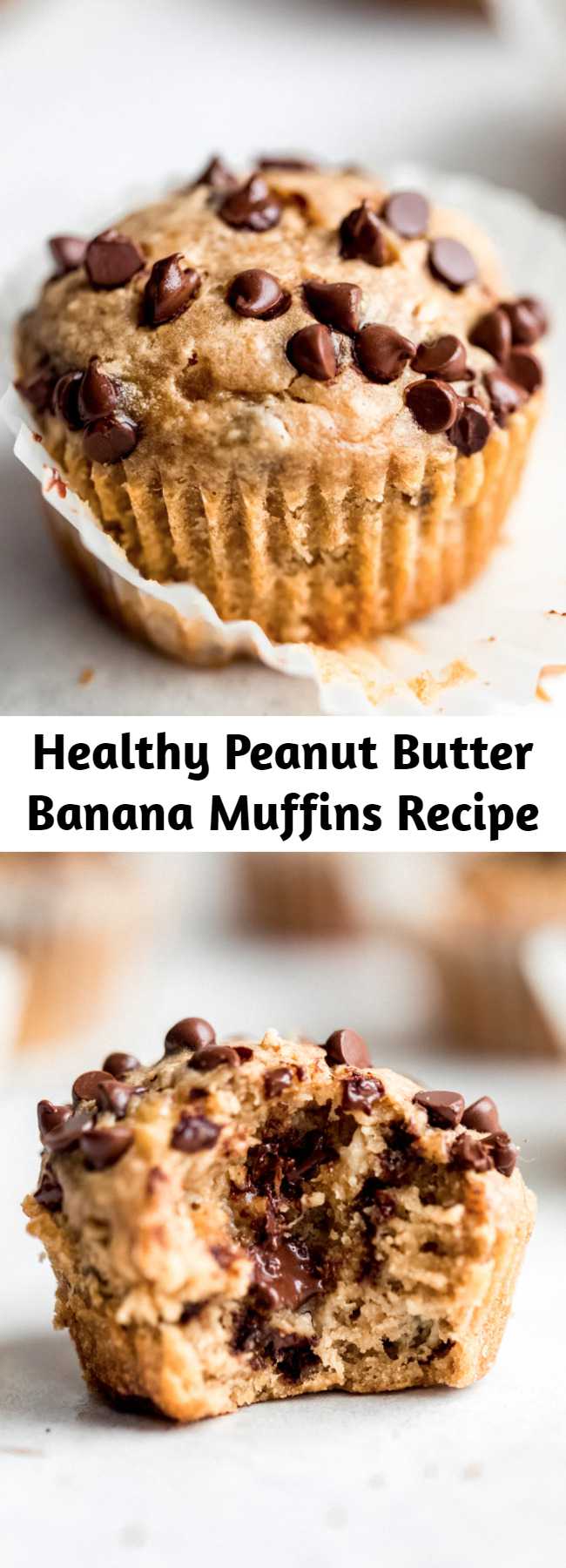 Healthy Peanut Butter Banana Muffins Recipe - The BEST peanut butter banana muffins that are packed with protein and peanut butter flavor. Naturally sweetened with pure maple syrup, gluten free thanks to oat flour and a great on-the-go healthy breakfast or snack. Try them with mini chocolate chips! #glutenfree #glutenfreesnack #dairyfree #kidfriendly #kidfood #muffins #muffinrecipe #peanutbutter #healthysnack
