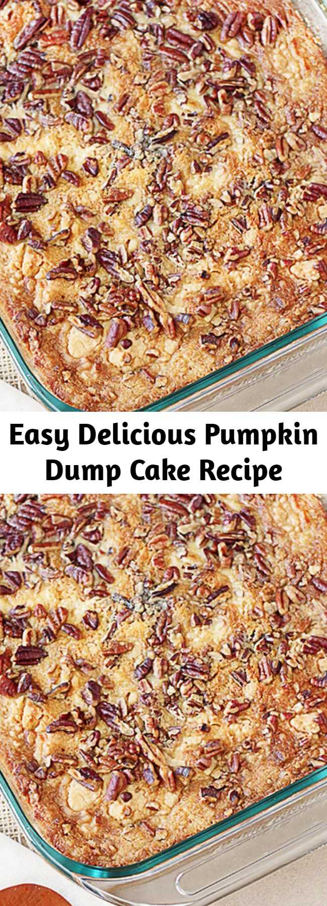 Easy Delicious Pumpkin Dump Cake Recipe - This recipe is a sure fire win for all of you pumpkin lovers!  Yellow cake mix, pumpkin, butter and pecans are the ingredients that make this Pumpkin Dump Cake a favorite — and ready under an hour! The name is exactly how the recipe comes together — by ‘dumping’ the ingredients into a 13×9 cake pan.  After baking, add a dollop of whip cream and enjoy this heavenly delight!
